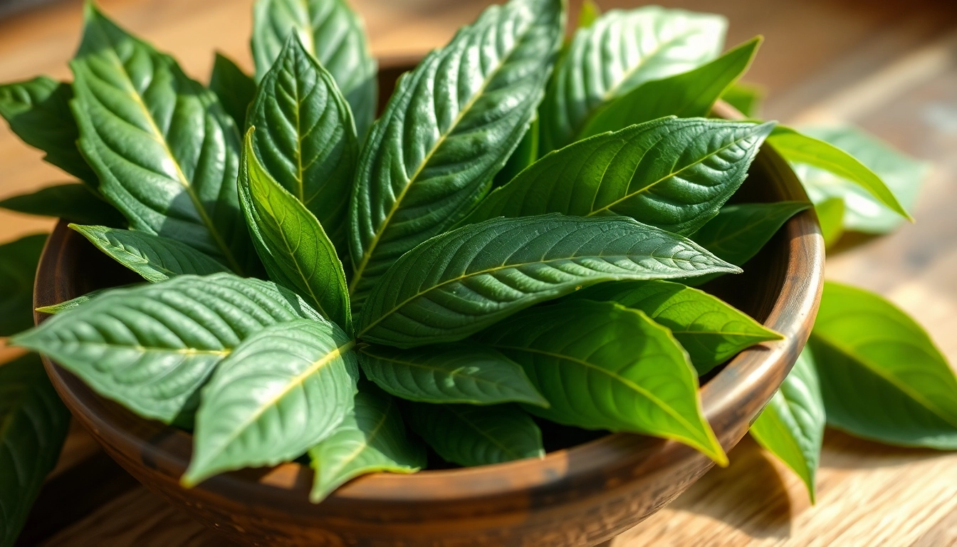 Harness the Flavor and Nutrition of Premium Bay Leaves for Your Cooking Creations